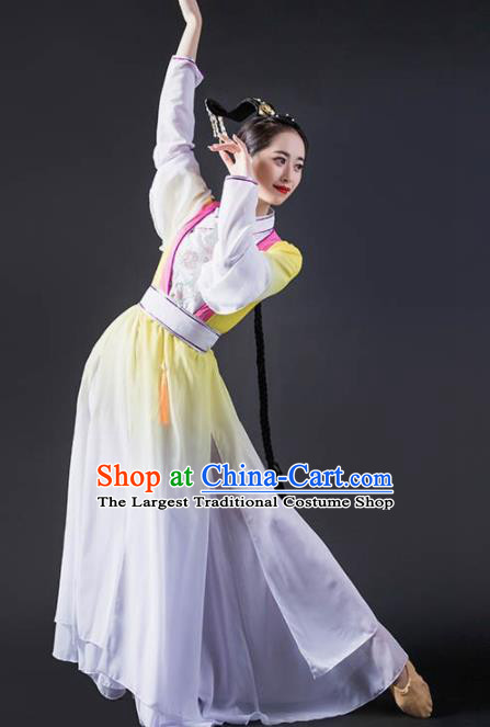 Chinese Classical Dance Dress Traditional Dunhuang Flying Apsaras Stage Performance Costume for Women