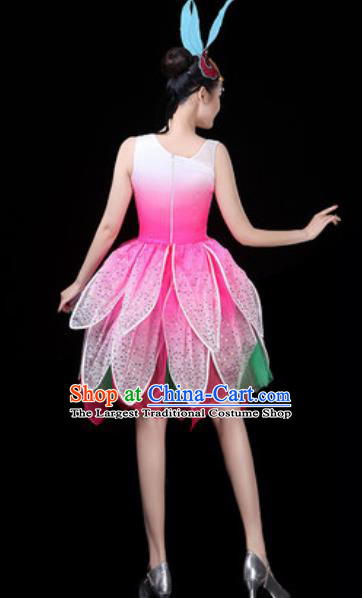 Traditional Chinese Opening Dance Lotus Dance Pink Dress Modern Dance Stage Performance Costume for Women