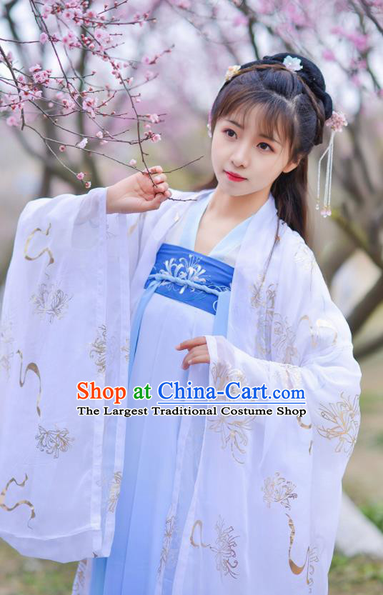 Chinese Ancient Peri Goddess Embroidered Hanfu Dress Traditional Tang Dynasty Historical Costume for Women