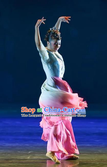 Traditional Chinese Classical Dance Dian Jiang Chun Costume Solo Ballet Dance Dress for Women