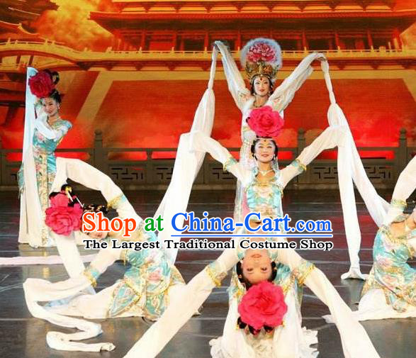 Traditional Chinese Classical Dance Bai Zhu Wu Costume Tang Dynasty Court Water Sleeve Dance Dress for Women