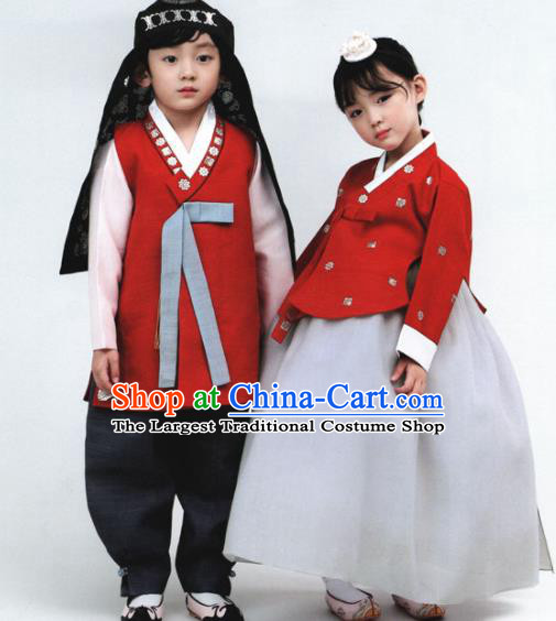 Korean Traditional Hanbok Birthday Outfit Asian Korea Fashion Costume for Kids