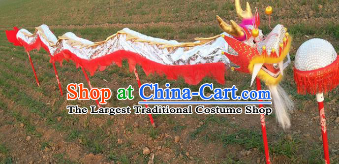 Chinese Traditional White Dragon Head Prop Dragon Dance Competition Costumes for Kids