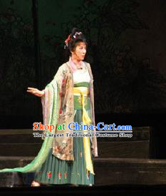 Traditional Chinese Peking Opera Hua Tan Dress Apparel Li Qingzhao Costumes Garment and Headwear