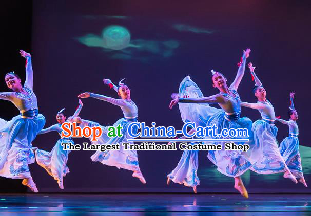Chinese Swan Folk Dance Blue Dress Traditional Classical Dance Stage Performance Costume for Women