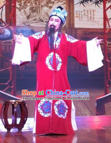 Chinese Yue Opera Laosheng Garment and Headwear The Crimson Palm Shaoxing Opera Elderly Male Landlord Wang Chun Apparels Costumes