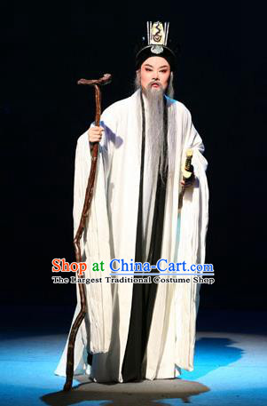 Chinese Yue Opera Old Man Apparels Costumes and Headwear Da Mo Li Ge Shaoxing Opera Elderly Male Garment