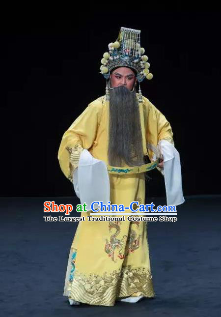 Chinese Classical Kun Opera Emperor Apparels Princess Baihua Peking Opera Elderly Male Costumes Ceremonial Robe and Helmet