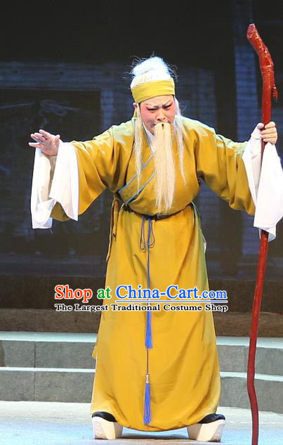Chinese Yue Opera Old Male Qing Jian Fan Ying Apparels and Headwear Shaoxing Opera Laosheng Elderly Man Costumes Garment