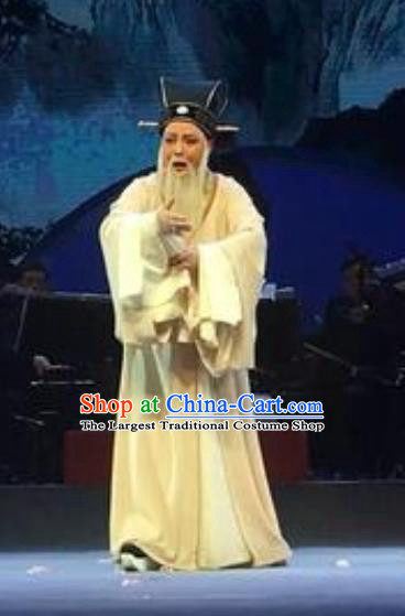 The Orphan of Zhao Chinese Yue Opera Elderly Male Garment Costumes and Headwear Shaoxing Opera Minister Gongsun Chujiu Apparels