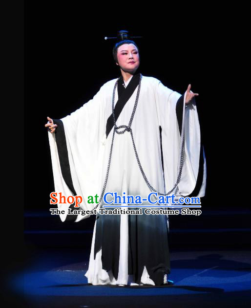 Chinese Yue Opera Scholar Zhang Lun Garment and Headwear Shaoxing Opera Xiaosheng Young Male Costumes