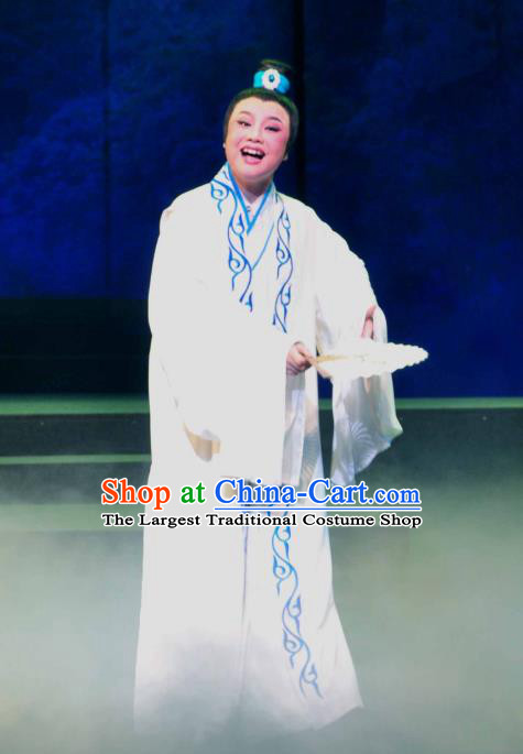 Chinese Yue Opera Young Male Garment and Headwear Shaoxing Opera Xiaosheng Scholar Zhang Lun Robe Costumes