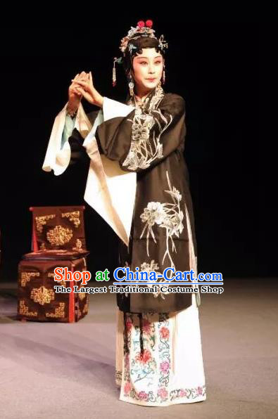 Chinese Kun Opera Tsing Yi Dress Costumes and Headdress On A Wall and Horse Kunqu Opera Actress Li Qianjun Garment Apparels