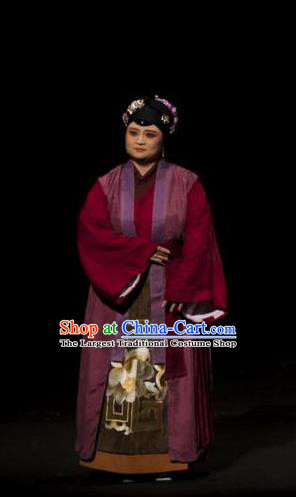 Chinese Kun Opera Laodan Apparels Costumes and Headpieces Romance Juliet Kunqu Opera Elderly Female Pantaloon Dress Garment