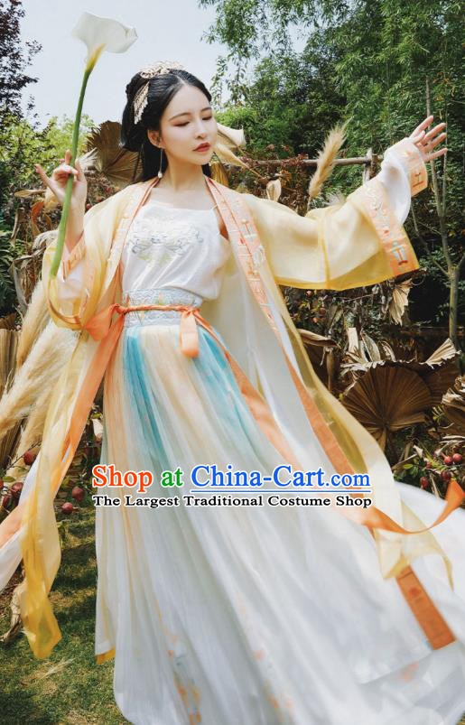 Ancient Chinese Young Lady Apparels Women Historical Costumes Traditional Song Dynasty Female Hanfu Dress