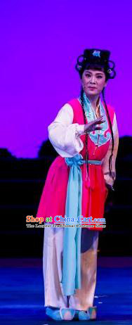 Chinese Ping Opera Young Lady Apparels Costumes and Headdress The Sword of Zhong Li Traditional Pingju Opera Swordswoman Su Nv Dress Garment