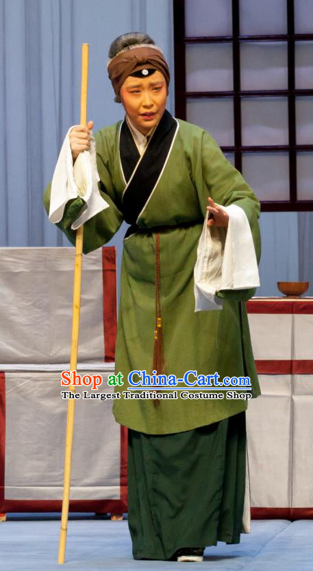 Chinese Ping Opera Fei Jie Apparels Pantaloon Costumes and Headpieces Traditional Pingju Opera Dress Elderly Dame Garment