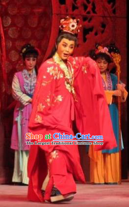 Baoyu and Daiyu Chinese Ping Opera Wedding Costumes and Headwear Pingju Opera Young Male Rich Childe Jia Baoyu Apparels Clothing