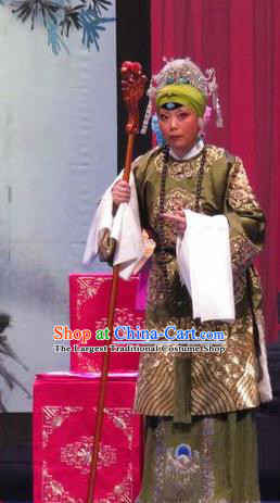 Chinese Ping Opera Old Dame Costumes Apparels and Headpieces Yang Bajie You Chun Traditional Pingju Opera Pantaloon She Saihua Dress Garment