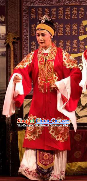 Chinese Shaoxing Opera Countess Red Dress Apparels Yue Opera Wu Nv Bai Shou Elderly Female Costumes Vieille Dame Garment and Headdress
