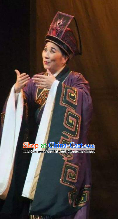 Chinese Yue Opera Han Feizi Elderly Male Costumes Apparels Clothing and Headwear Shaoxing Opera Chou Role Eunuch Zhao Gao Garment