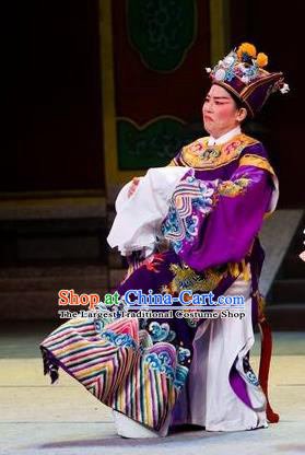 Chinese Yue Opera The Number One Scholar Is Not Love Cloun Clothing and Headwear Shaoxing Opera Eunuch Costumes Garment