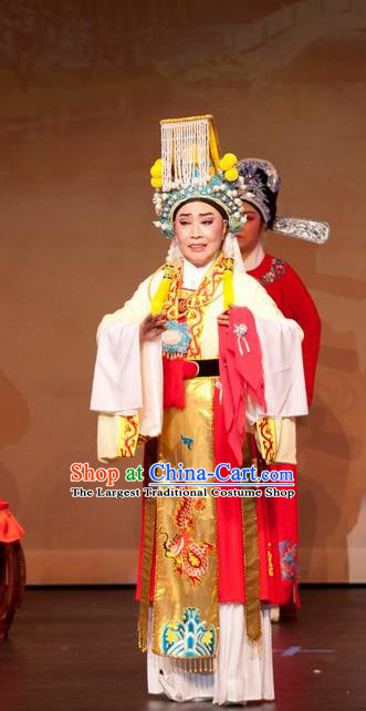Chinese Yue Opera Emperor and the Village Girl Costumes and Headwear Shaoxing Opera Young Male Xiaosheng Garment Apparels