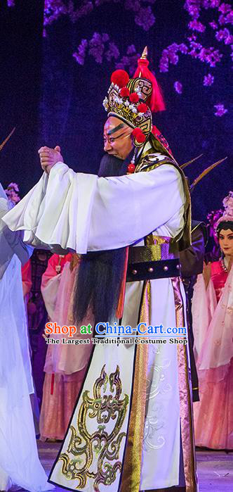 Ru Ji Chinese Peking Opera Lord Garment Costumes and Headwear Beijing Opera Laosheng Apparels Elderly Male King Wei Wuji Clothing