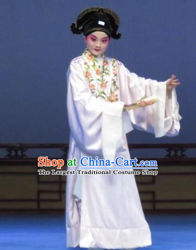 Tao Li Mei Chinese Ping Opera Young Male Zheng Shipeng Costumes and Hat Pingju Opera Scholar Apparels Clothing