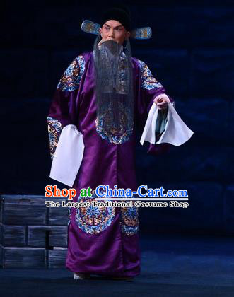 On A Wall and Horse Chinese Peking Opera Minister Garment Costumes and Headwear Beijing Opera Elderly Male Apparels Official Pei Xingjian Clothing