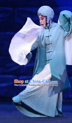Chinese Beijing Opera Diva Apparels Costumes and Headdress On A Wall and Horse Traditional Peking Opera Tsing Yi Dress Actress Li Qianjun Garment