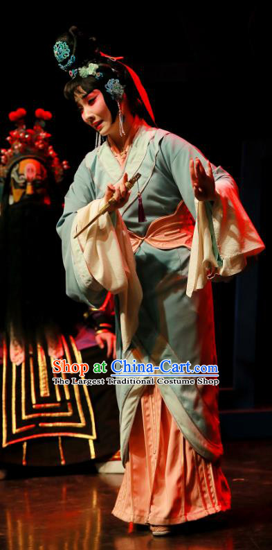 Chinese Beijing Opera Hua Tan Garment Xi Zi Zai Wang Costumes and Hair Accessories Traditional Peking Opera Actress Xi Shi Dress Apparels