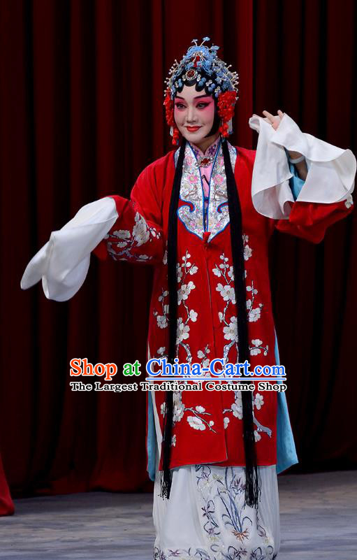 Chinese Beijing Opera Bride Dou E Garment Snow in June Costumes and Hair Accessories Traditional Peking Opera Actress Red Dress Hua Tan Apparels