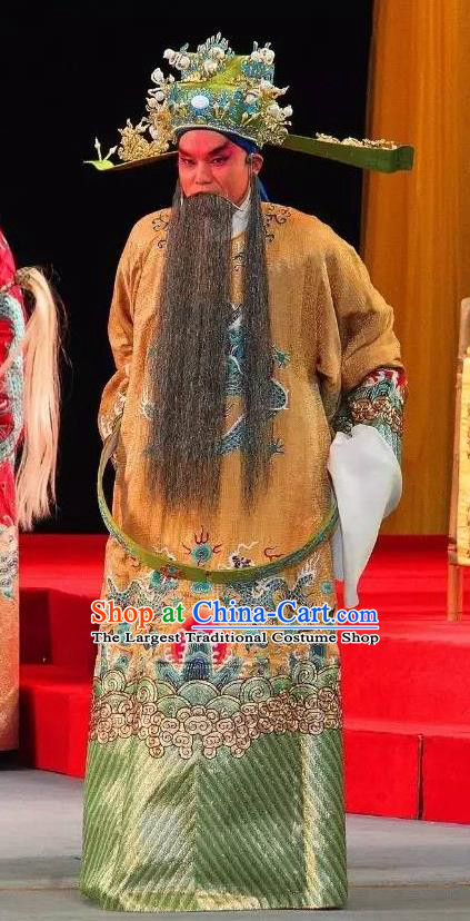 Tai Hou Gai Jia Chinese Sichuan Opera Chancellor Apparels Costumes and Headpieces Peking Opera Elderly Male Garment Prime Minister Clothing