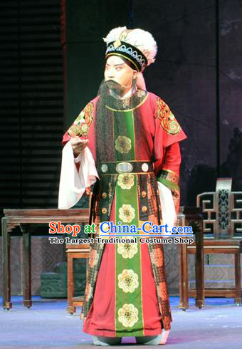 Bei Feng Jin Chinese Peking Opera Official Shi Yisheng Apparels Costumes and Headpieces Beijing Opera Laosheng Garment Elderly Male Clothing