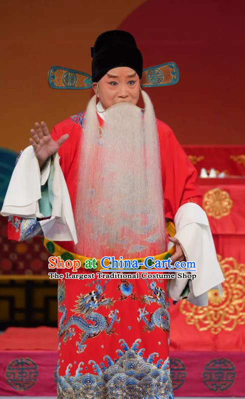 Chinese Peking Opera Elderly Male Apparels Costumes and Headpieces Beijing Opera Laosheng Garment Censor Chen Zhi Clothing