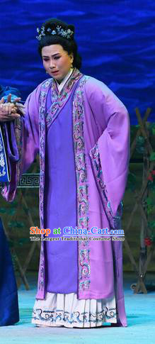 Chinese Beijing Opera Middle Age Female Apparels Costumes and Headpieces Traditional Peking Opera Dame Lin Dress Garment