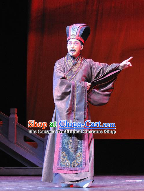 Xi Zhao Qi Shan Chinese Sichuan Opera Official Apparels Costumes and Headpieces Peking Opera Minister Garment Clothing