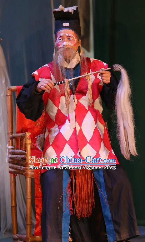 The Lotus Lantern Chinese Sichuan Opera Elderly Male Apparels Costumes and Headpieces Peking Opera Taoist Priest Garment Clothing