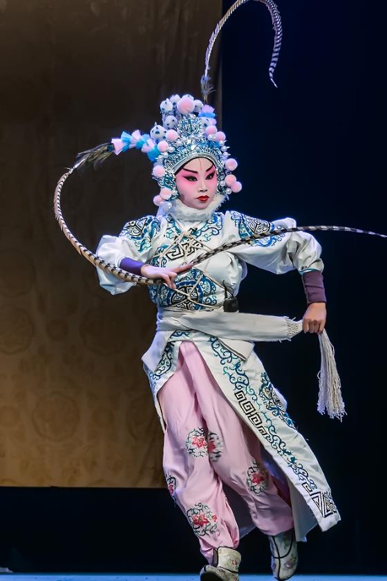 Chinese Sichuan Opera Martial Female Yang Bajie Garment Costumes and Hair Accessories Traditional Peking Opera Wudan Dress Swordswoman Apparels