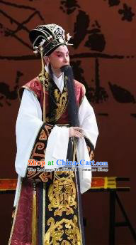 Xin Zhui Chinese Peking Opera Laosheng Li Cang Garment Costumes and Headwear Beijing Opera Elderly Male Apparels Clothing
