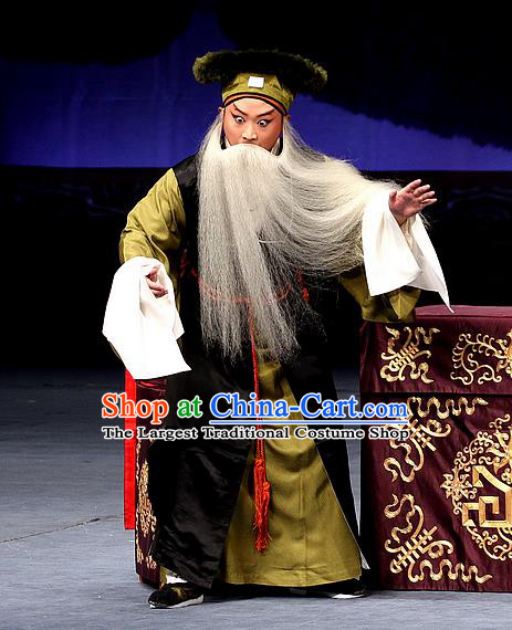 Sacrifice Zhao Shi Gu Er Chinese Peking Opera Gongsun Chujiu Garment Costumes and Headwear Beijing Opera Laosheng Apparels Clothing