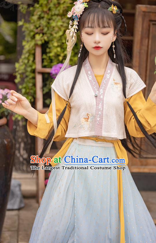 Traditional Chinese Ancient Ming Dynasty Young Lady Apparels Historical Costumes Village Girl Embroidered Hanfu Dress