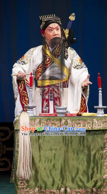 Qing Shi Mountain Chinese Peking Opera Laosheng Elderly Male Garment Costumes and Headwear Beijing Opera Taoist Lv Dongbin Apparels Clothing