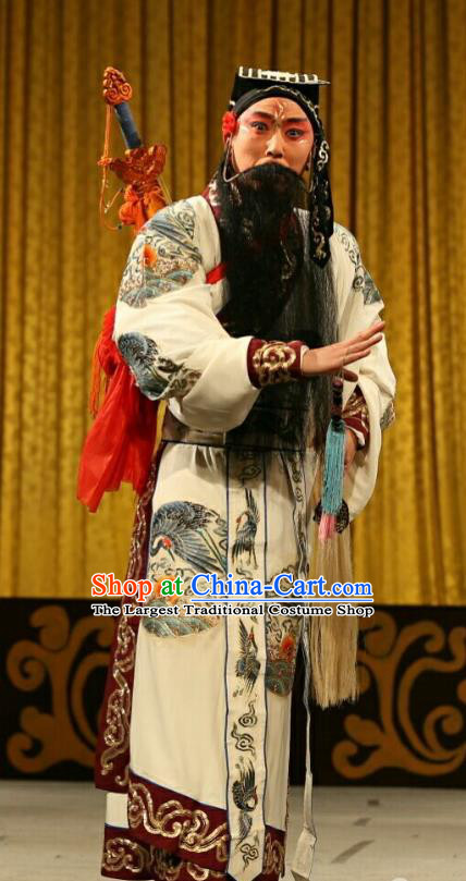 Qing Shi Mountain Chinese Peking Opera Immortal Garment Costumes and Headwear Beijing Opera Taoist Lv Dongbin Apparels Elderly Male Clothing