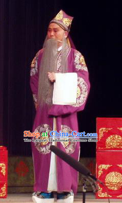 The Romance of Hairpin Chinese Qu Opera Laosheng Apparels Costumes and Headpieces Traditional Henan Opera Elderly Male Garment Landlord Qian Liuxing Clothing