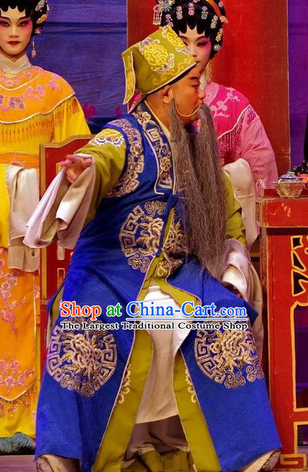 Qian Tang Su Xiaoxiao Chinese Guangdong Opera Landlord Apparels Costumes and Headpieces Traditional Cantonese Opera Laosheng Garment Elderly Male Clothing