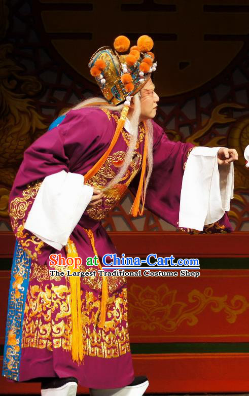 Diao Man Gong Zhu Gan Fu Ma Chinese Guangdong Opera Eunuch Apparels Costumes and Headpieces Traditional Cantonese Opera Elderly Male Garment Clown Purple Clothing