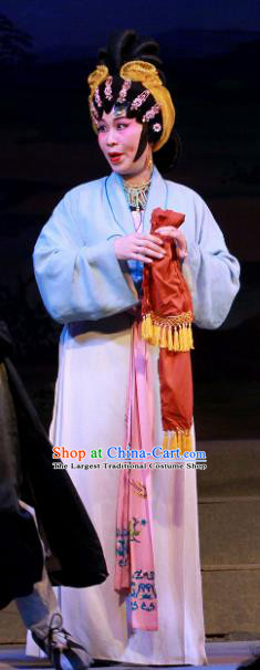 Chinese Cantonese Opera Country Woman Garment Fifteen Strings of Cash Costumes and Headdress Traditional Guangdong Opera Female Apparels Dress