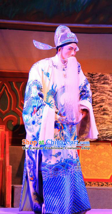 Fifteen Strings of Cash Chinese Guangdong Opera Elderly Male Apparels Costumes and Headwear Traditional Cantonese Opera Laosheng Garment Prefect Kuang Zhong Clothing